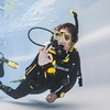image:imageAqualung Calypso Yoke Dive Regulator  Durable Lightweight LowMaintenance Compact Scuba Diving Complete Regulator Set wAdjustable Airflow amp Interchangeable Mouthpiece