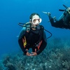 image:imageAqualung Helix Pro Octopus  Compact Lightweight Scuba Diving Regulator wPneumatically Balanced Second Stage Venturi Switch HighVisibility Yellow Hose amp Interchangeable Mouthpiece