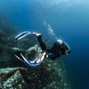 image:imageAqualung Phazer Dive Fins  TriMaterial OpenHeel Scuba Diving Swim Fins wWave Rib Technology Hydro Power VentWhiteBlue