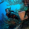 image:imageAqualung Pro HD Compact Dive BCD  UltraLightweight BackInflation Travel Scuba Diving Buoyancy Compensator with SureLock II Weight Integrated SystemBlackOrange
